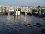 20090823-7