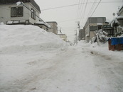 DSCF4637