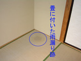 200412