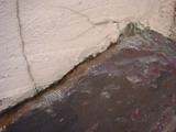 20091020-3