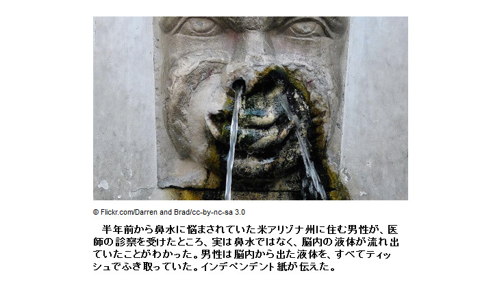 h250511_hana_01
