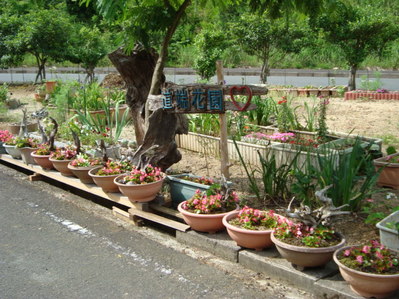 道端花園６月２５日