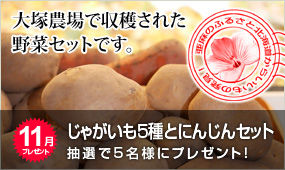 contents_img068
