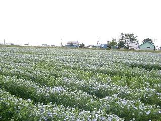 R0011049