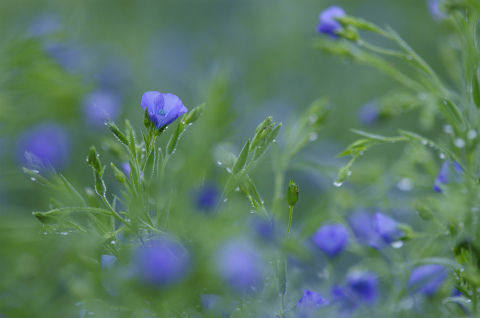 s15【最優秀賞】雨上がり