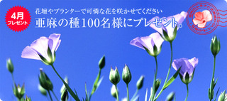 present1004_img01