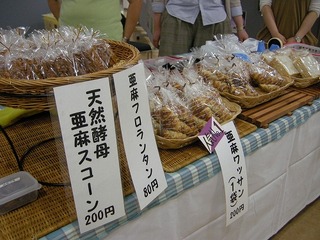 s-DSCN6208