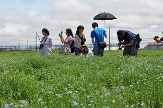 13フォトコンに応募いただけますか?