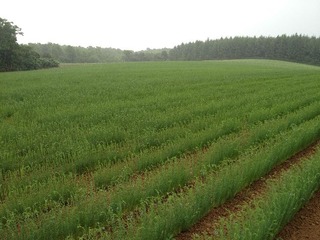 20120712¹©Æ£¡¦»Ö²ì1