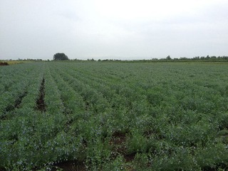 20120712ÂçÄÍ