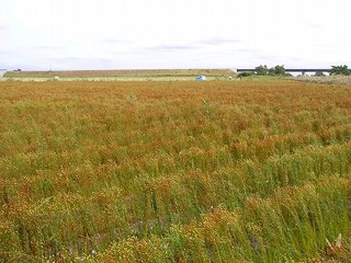 s-R0011689