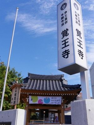 s-P1460535