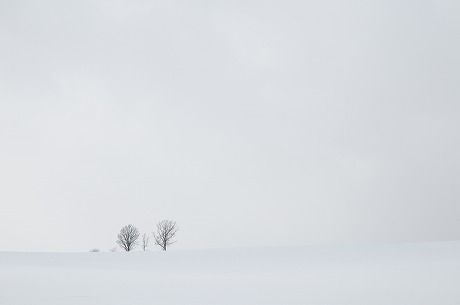 s-DSC_5491