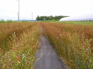 s-R0011709