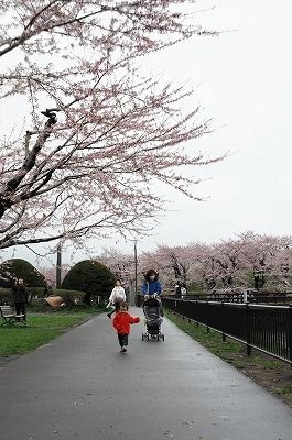s-DSC_6274