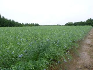 s-R0011112