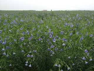20120712¿¥ÅÄ2