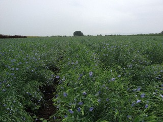 20120712ÂçÄÍ2
