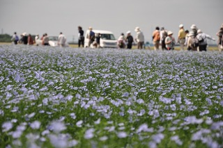 s-DSC_0148