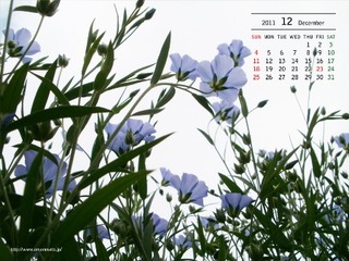 12�������