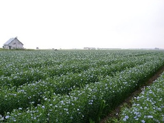 R0011078