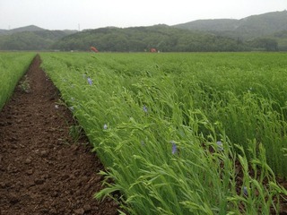 20120712Äźê2