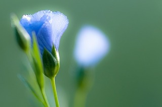 s-IMGP0005-1