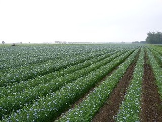 R0011083