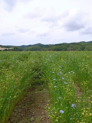 s-R0011719