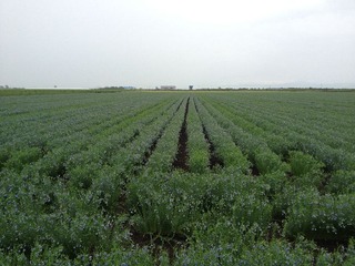 20120712¿¥ÅÄ1