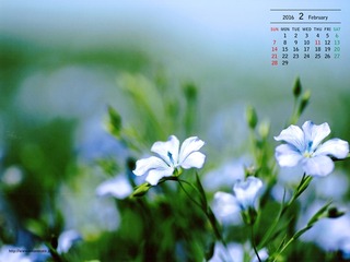 201602_¥«¥ì¥ó¥À¡¼