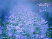 2012ǯ1���ɻ楫������