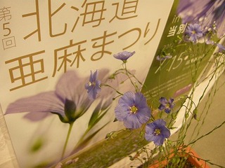 s-DSCN5758