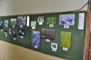 DSC_0097_R