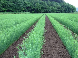 20120712Äźê1