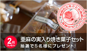焼き菓子プレゼント