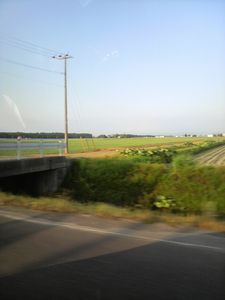 20120618当別町