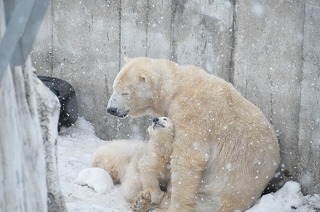 s-PIC_9977