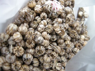 s-DSCN6116