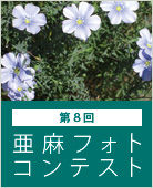 contents_img044