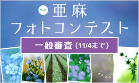contents_img067