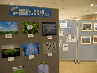 s-DSCN6214