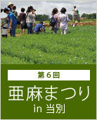 2013年亜麻まつり