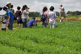 9天気もよくなって