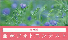 contents_img069