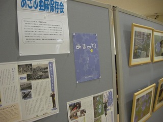 s-DSCN6215
