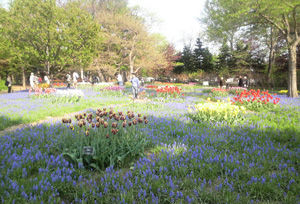 百合が原公園