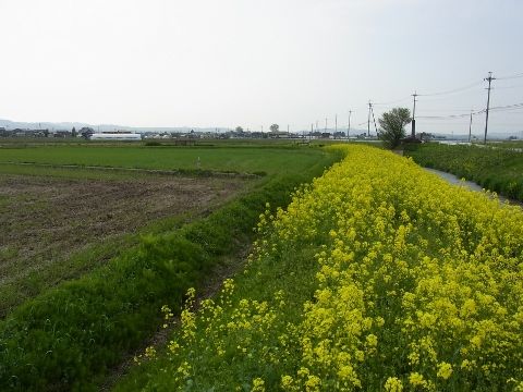 �ڤβ�