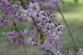 IMG_1397