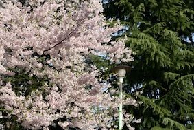 IMG_1410
